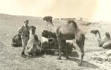 La imagen tiene un atributo ALT vacío; su nombre de archivo es camellos.01.jpg
